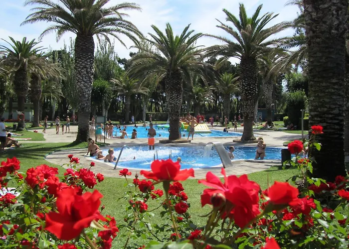 EL DELFÍN VERDE RESORTS